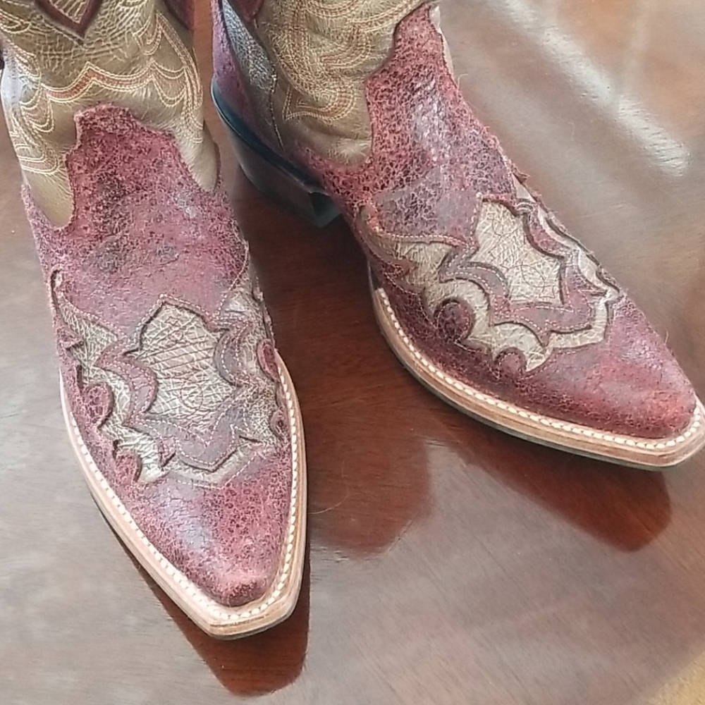 Gorgeous Ariat Boots - Picture 2 of 5